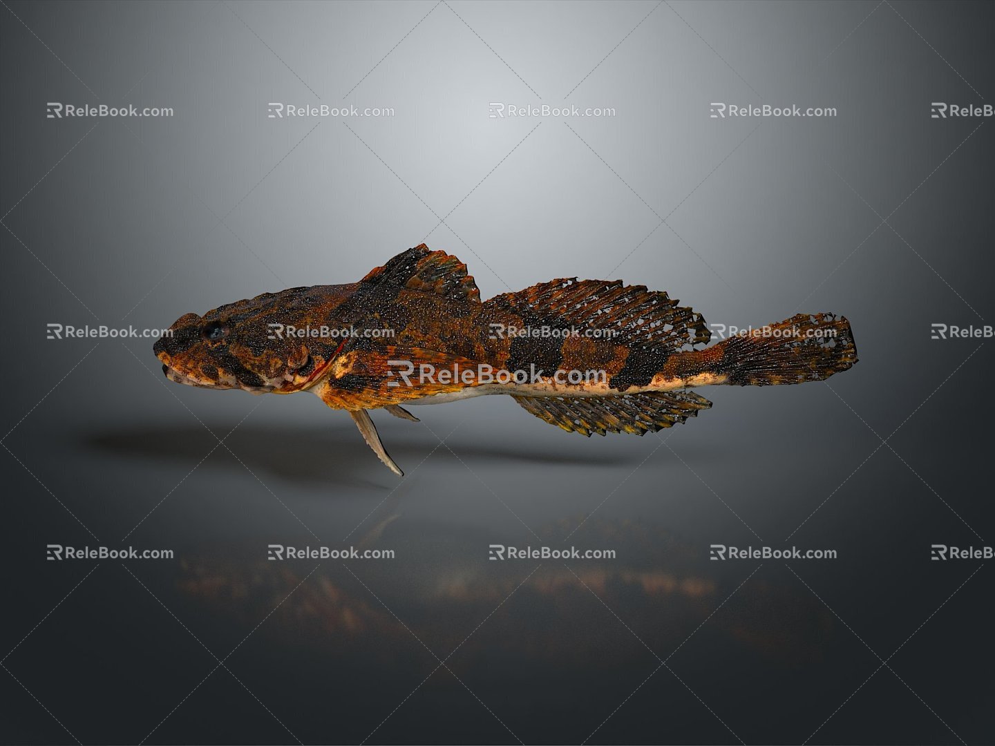 Fish Freshwater Fish Sea Fish Animal Game Animal Cartoon Animal Realistic Animal 3d model