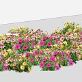 Lush Colorful Floral Plants With Pink Yellow Purple Flowers In Wavy Arrangement On White Ground