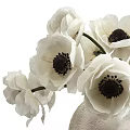 White Anemone Flowers With Dark Centers In Textured Light Colored Vase