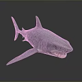Realistic 3D Blue Shark Aquatic Animal With Sharp Teeth And Detailed Fins