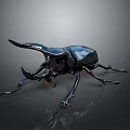 Shiny Black Horned Beetle With Detailed Exoskeleton And Reflective Surface