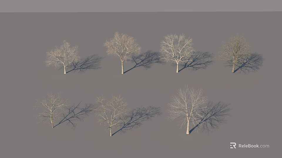 Multiple Leafless Arbor Trees With Shadows On Gray Background Scene 3d model 