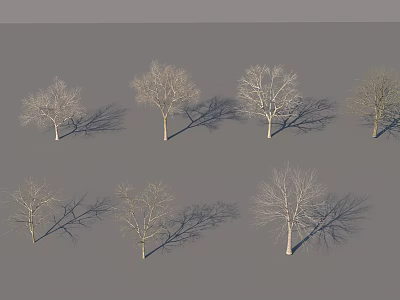 Multiple Leafless Arbor Trees With Shadows On Gray Background Scene 3d model