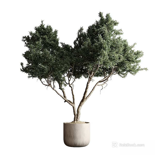 Lush Green Potted Tree Garden Decor with Cylindrical Planter and Dense Foliage 3d model 