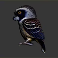 Bird Sculpture With Colorful Feathers Yellow Eyes Black Beak Sharp Claws Against Dark Background