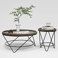 Modern Round Coffee Table Set with Geometric Metal Frame Green Plant and Books