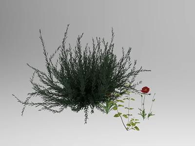Arbor with Dense Green Foliage and Red Flower Among Surrounding Plants 3d model