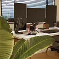 Public Office Space With Organized Workstation Multiple Monitors Laptop Headphones Shelf Plant And Perforated Wall