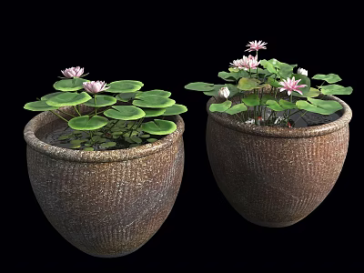 Two Textured Clay Pots With Pink Water Lilies And Green Lily Pads 3d model