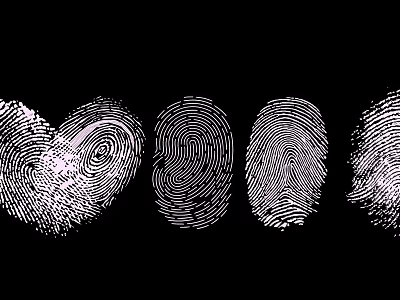 Unique Fingerprint Pattern Decorative Ornaments With Multiple Black And White Designs 3d model