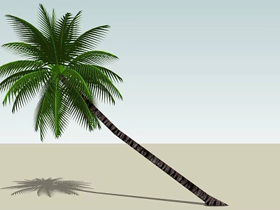 Tall Palm Tree With Green Fronds Standing On Sandy Beach Under Blue Sky 3d model