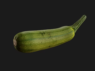 Fresh Green Zucchini Long Shaped Vegetable with Smooth Skin Isolated on Dark Background 3d model