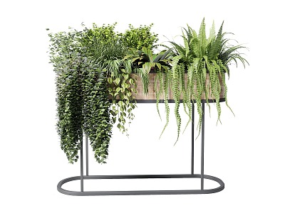 Flower Pot Flower Vase Flower Basket Floral Flower Bonsai Hanging Basket Fern 3d model