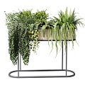 Flower Pot Flower Vase Flower Basket Floral Flower Bonsai Hanging Basket Fern 3d model