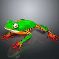 Vibrant Green Frog With Orange Legs And White Eyes On Dark Surface