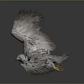Majestic Eagle with Patterned Feathers Spreading Wings Flying as Airborne Animal