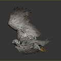 Modern Owl Raptor 3d model