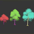 Three Green Trees In Different Sizes With Reflections On Black Background