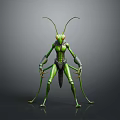 Anthropomorphic Praying Mantis 3D Character Model With Green Exoskeleton And Long Antennae