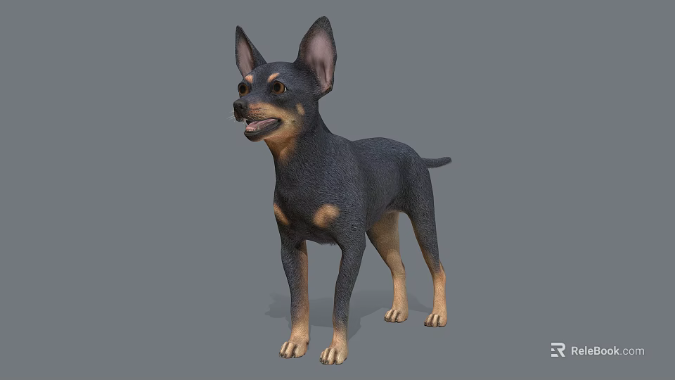 Black and Tan Dog With Erect Ears Standing In 3D Render Against Gray Background 3d model 