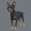 Black and Tan Dog With Erect Ears Standing In 3D Render Against Gray Background