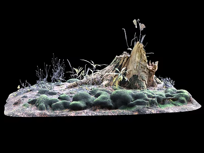 Miniature Natural Landscape With Tree Stump Lush Green Moss And Small Plants 3d model
