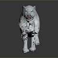 Snow Leopard Leopard 3d model