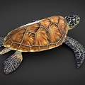 sea turtle turtle sea animals 3d model