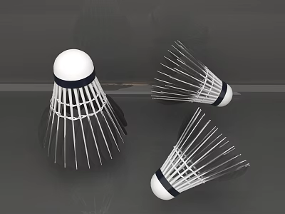 High Quality Badminton Shuttlecocks With White Cork Head And Durable Nylon Feathers For Sports Training 3d model