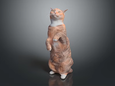Orange and white cat standing upright on hind legs looking up against dark background 3d model