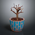 Potted Leafless Tree Plant In Blue Brown Geometric Pattern Pot With Gray Background