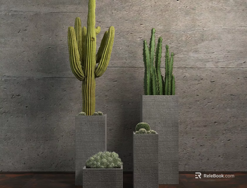 Various Sizes Potted Cactus Bonsai In Gray Square Pots For Indoor Decor 3d model 