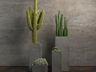 Various Sizes Potted Cactus Bonsai In Gray Square Pots For Indoor Decor 3d model