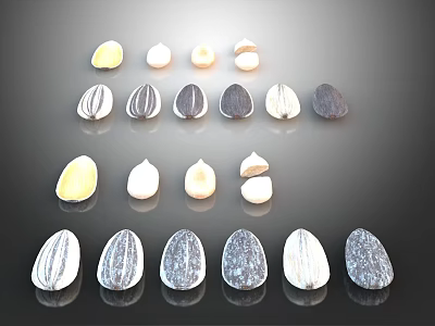 Assorted Colorful Seeds With Different Shapes Arranged On Black Background 3d model