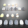 Assorted Colorful Seeds With Different Shapes Arranged On Black Background