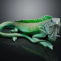 Green Iguana With Spiny Back Scaled Body And Long Tail Resting On Dark Surface
