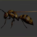 Detailed 3D Wasp Model With Yellow Black Stripes Red Eyes And Transparent Wings
