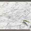 Textured White Background Wall With Wooden Side Frames And Green Plant