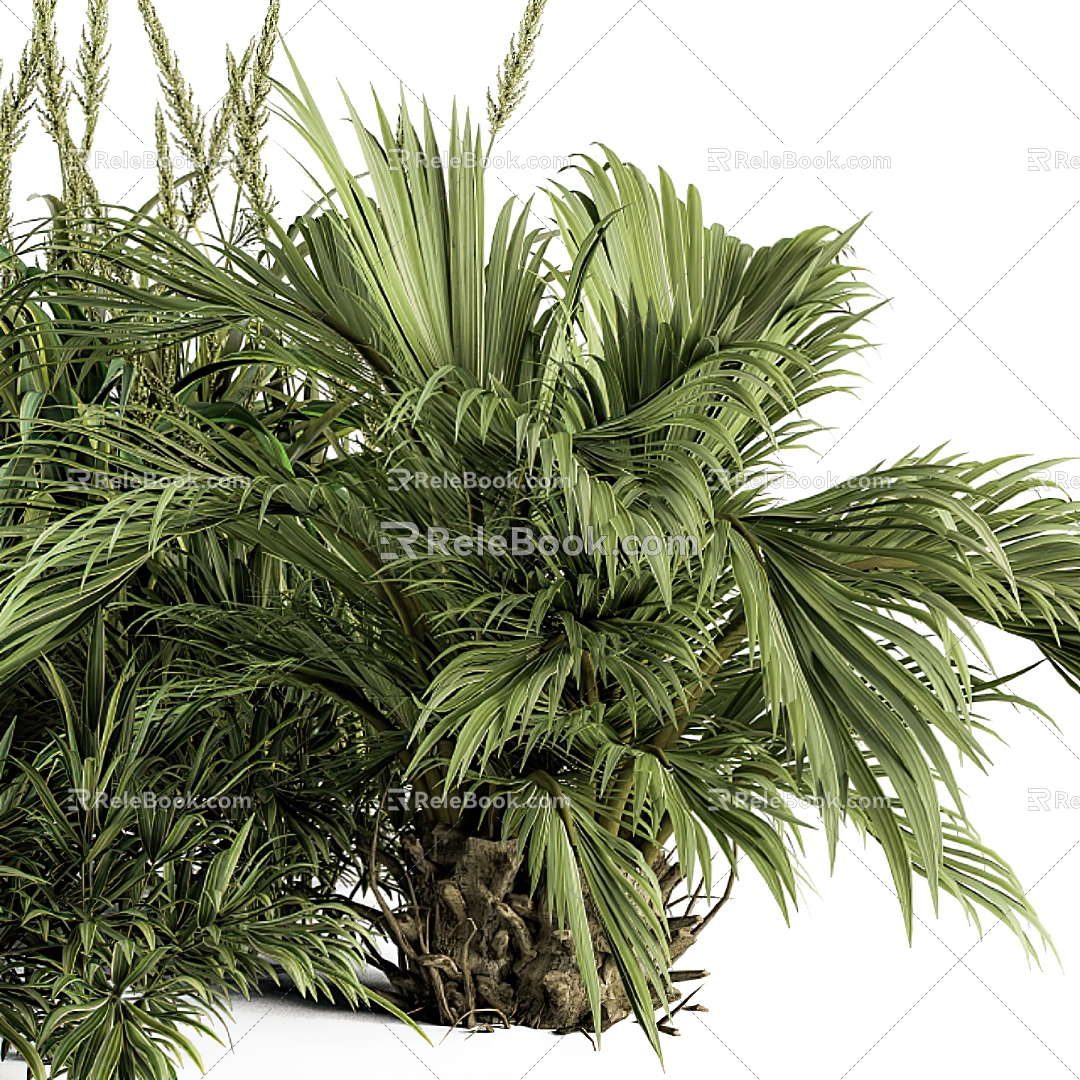 modern plants 3d model