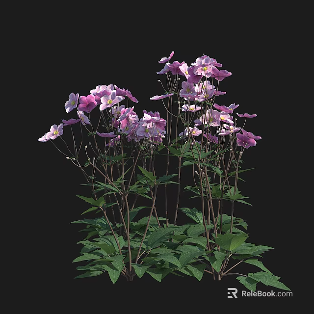 Vibrant Purple And Pink Flowers With Fresh Green Leaves On Black Background 3d model 