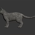Gray Striped Cat Standing On Dark Background With Realistic Fur Texture