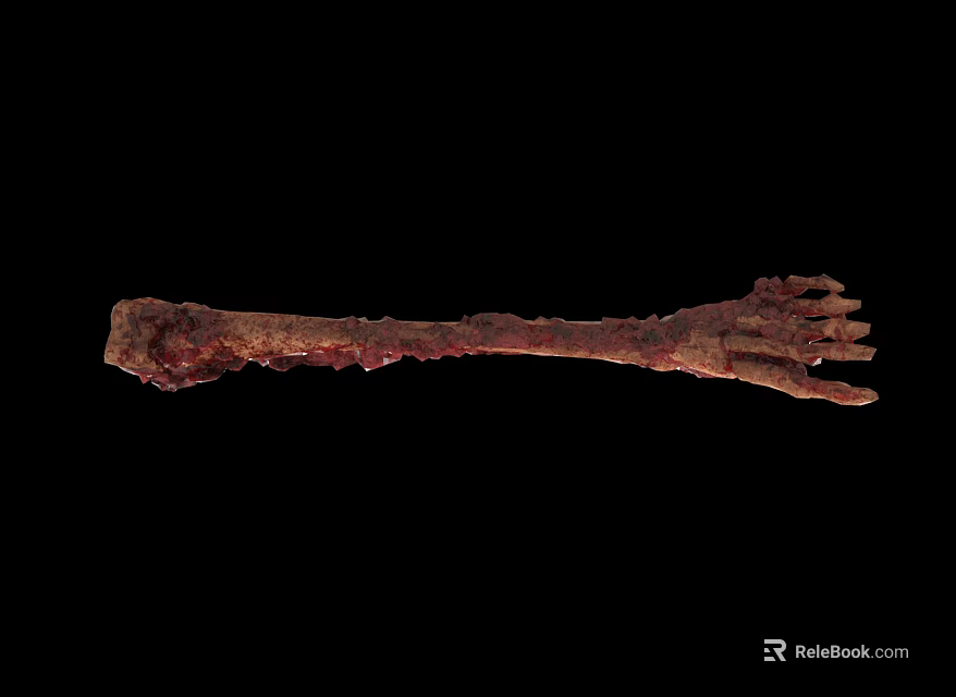 Archaeologist Examining Fossilized Animal Skeleton With Reddish Brown Rough Surface 3d model 