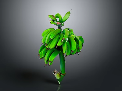 Fresh Green Banana Bunch With Natural Stems And Vibrant Green Color 3d model