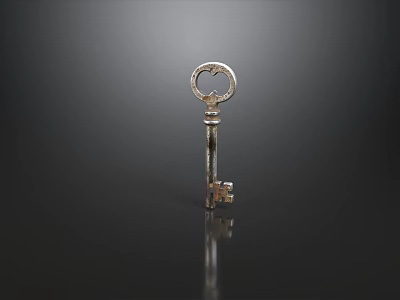 Hardware Tools Vintage Silver Key with Intricate Design and Reflection on Dark Background 3d model