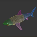 Gray Shark 3D Model with Open Mouth and Sharp Teeth on Dark Gradient Background 3d model