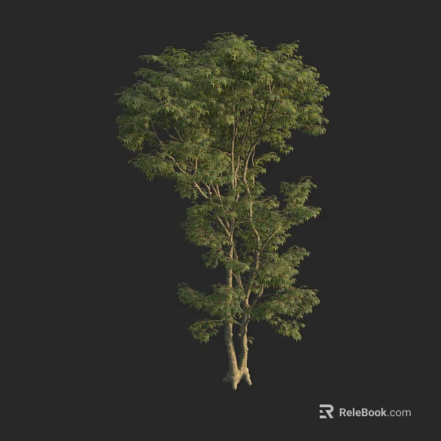 Lush Green Tree With Dense Foliage And Strong Trunk Structure 3d model