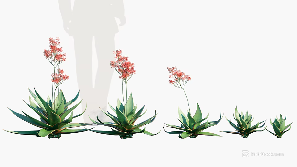 Potted Aloe Vera Plants with Red Flowers and Green Leaves in Various Sizes 3d model 