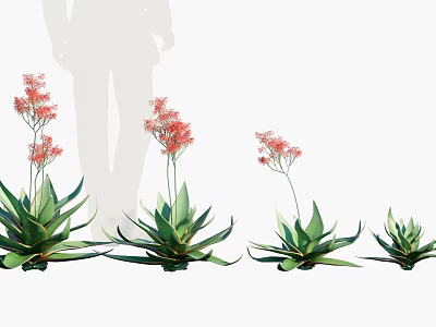 Potted Aloe Vera Plants with Red Flowers and Green Leaves in Various Sizes 3d model