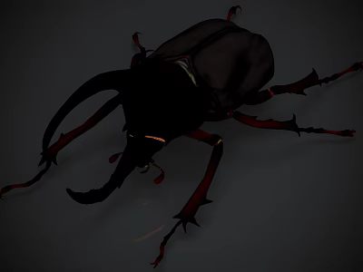 insect beetle 3d model