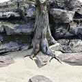 Natural Garden Ornament Featuring Tree Stump And Stacked Rocks With Moss
